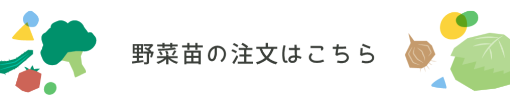 野菜苗の注文はこちら